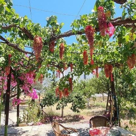 Ktima Ellopia Villa Kolymbia Exterior foto