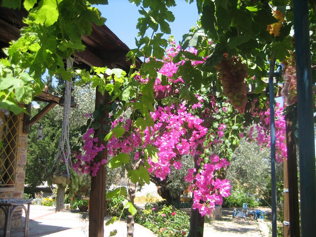 Villa Ktima Ellopia Kolymbia Exterior foto